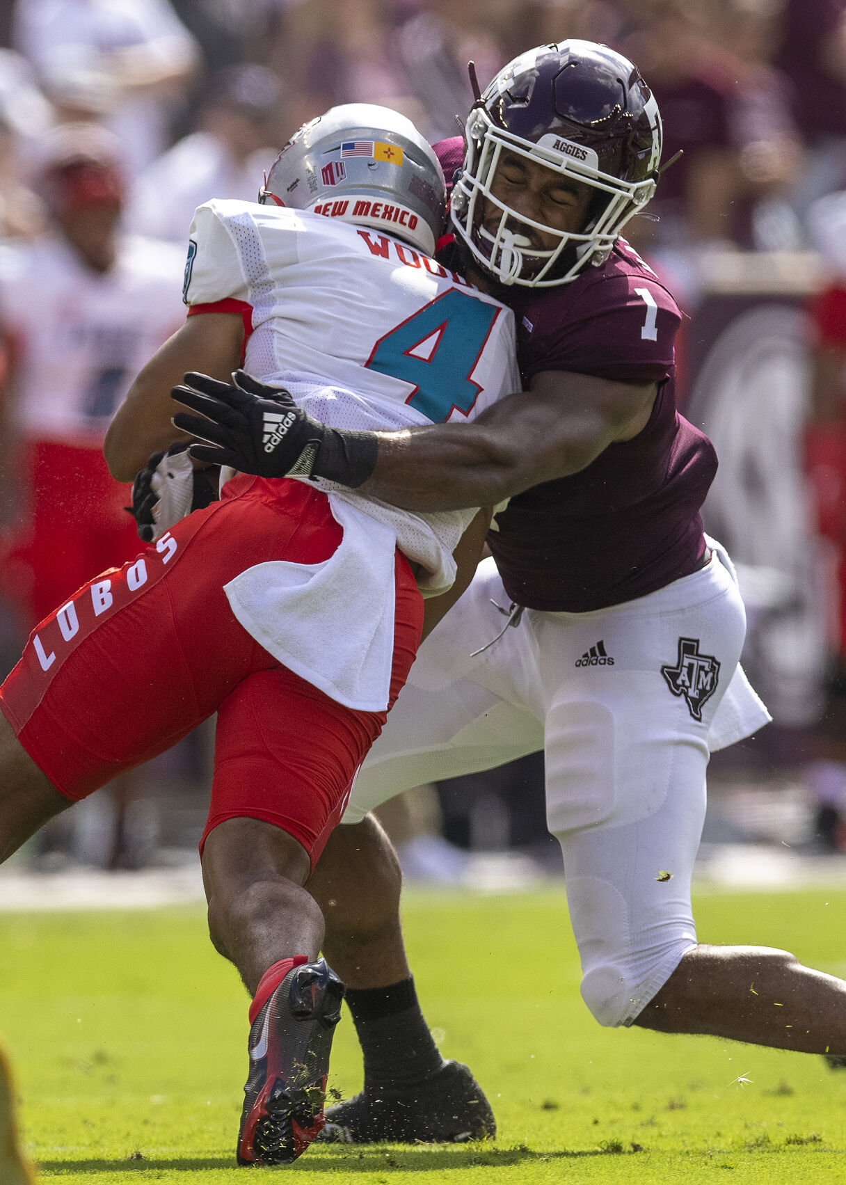 Texas A&M vs New Mexico
